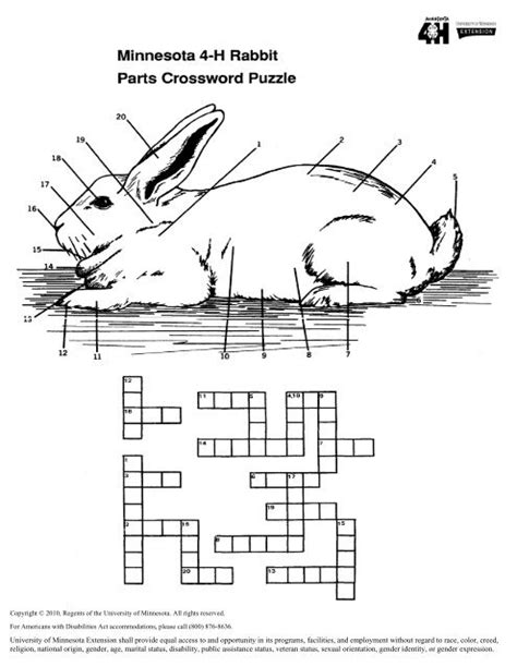 BUNNY Crossword Clue